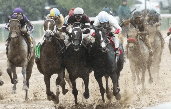 Understanding the Basics of Horse Racing