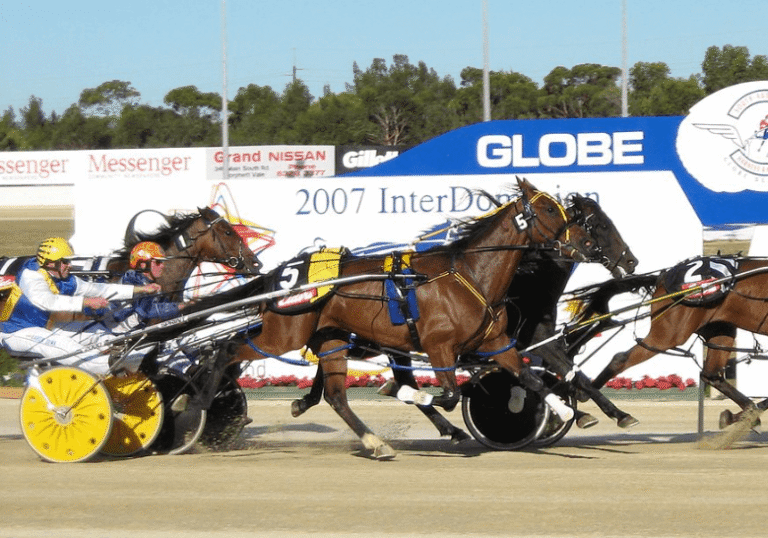 Understanding the Different Gaits of Horses in Racing