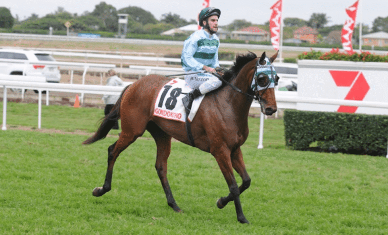 What Are the Most Famous Horse Racing Betting Systems?